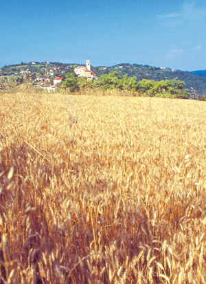 Il Castellaro di Grancona con la chiesa