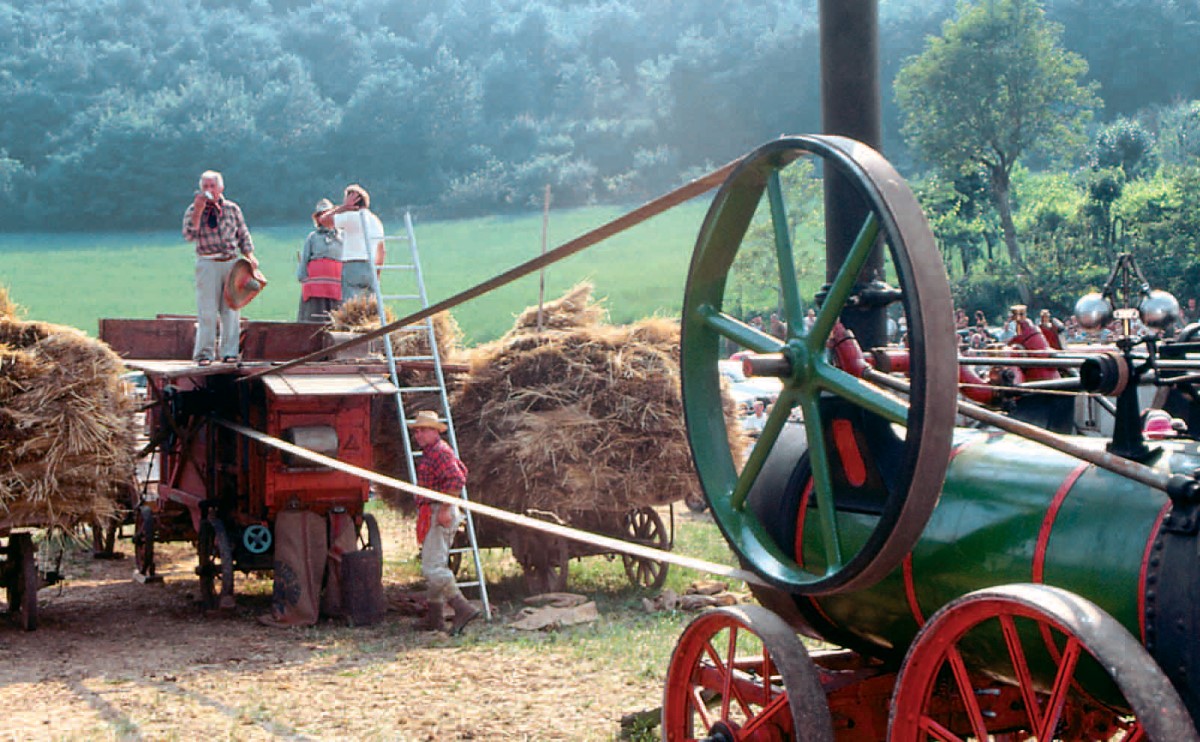 Sabato 27 e Domenica 28 Luglio 2019 - Come eravamo, la Trebbiatura e i Mestieri del Passato